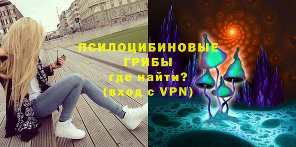 ешки Алексин