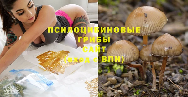jwh Алексеевка