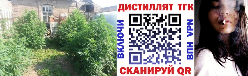 Дистиллят ТГК THC oil  Кохма 