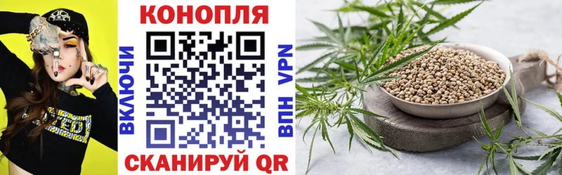 купить   Кохма  Каннабис конопля 